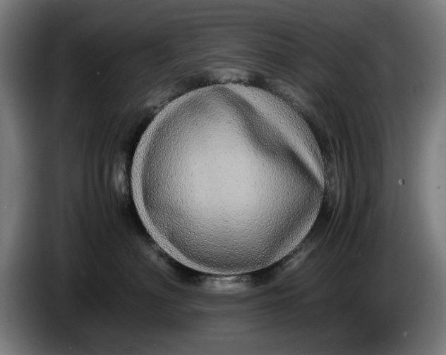 X0000086260622200704191905