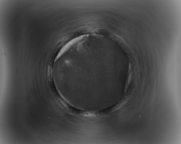 X0000086260624200704191905