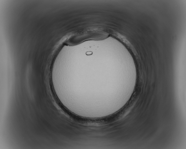 X0000086260625200704191904