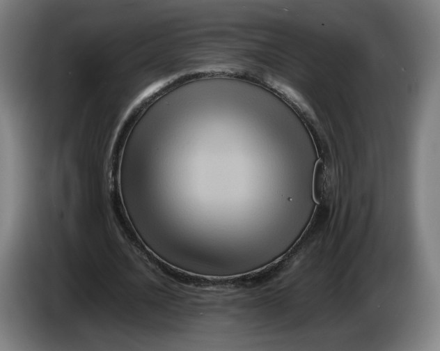 X0000086260628200704191904