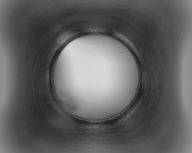 X0000086260629200704191904