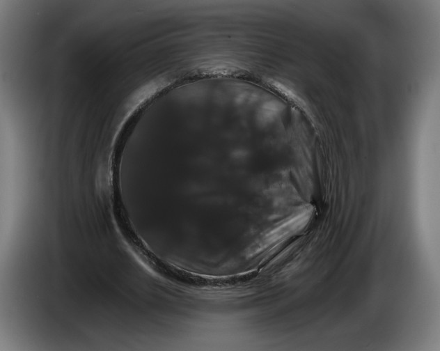 X0000086260630200704191904