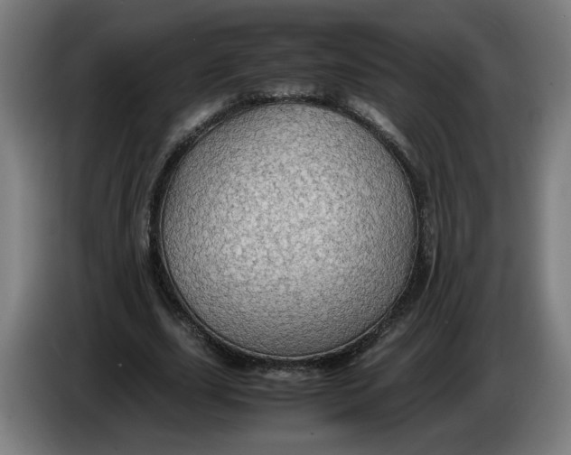 X0000086260631200704191904