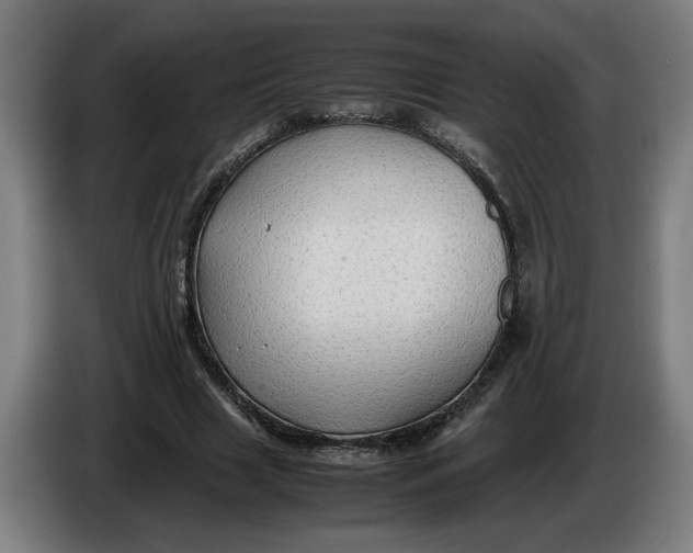 X0000086260633200704191904