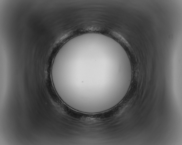 X0000086260635200704191904