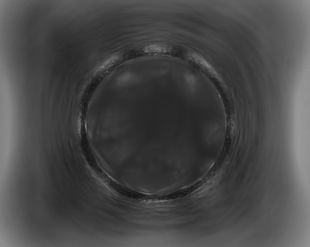 X0000086260637200704191904