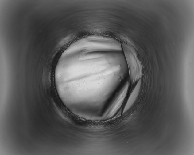 X0000086260638200704191904