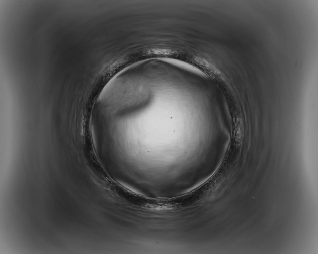 X0000086260639200704191904