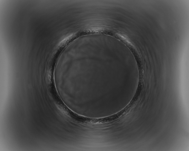 X0000086260640200704191904