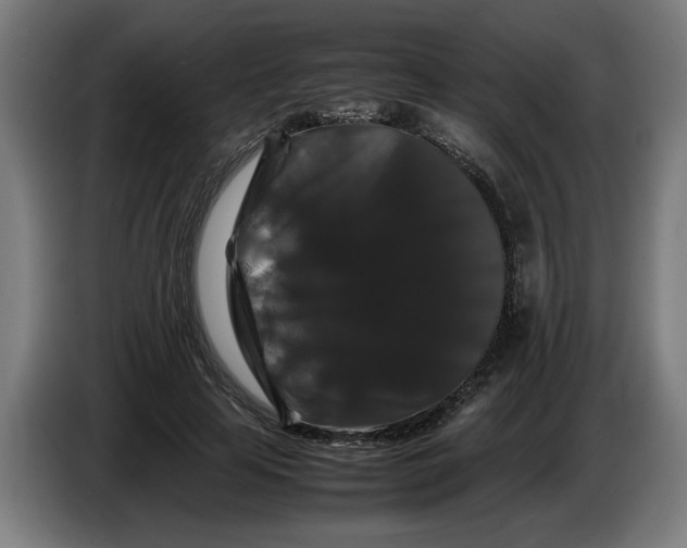 X0000086260641200704191904