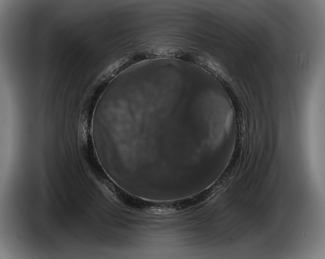 X0000086260644200704191904