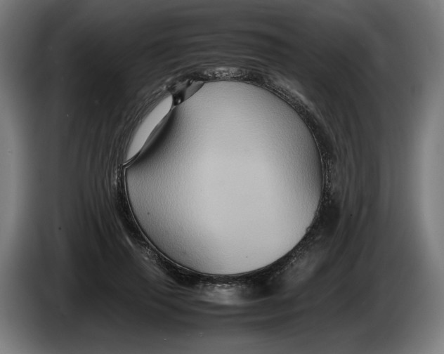 X0000086260645200704191904