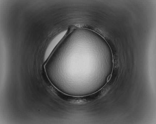 X0000086260646200704191904