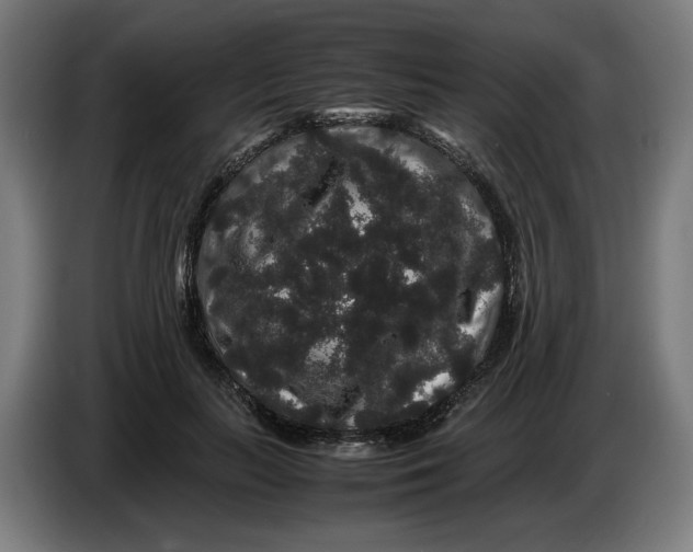 X0000086260647200704191904
