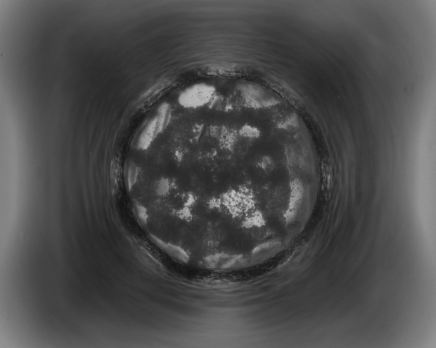 X0000086260648200704191904