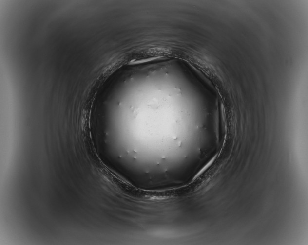 X0000086260649200704191904