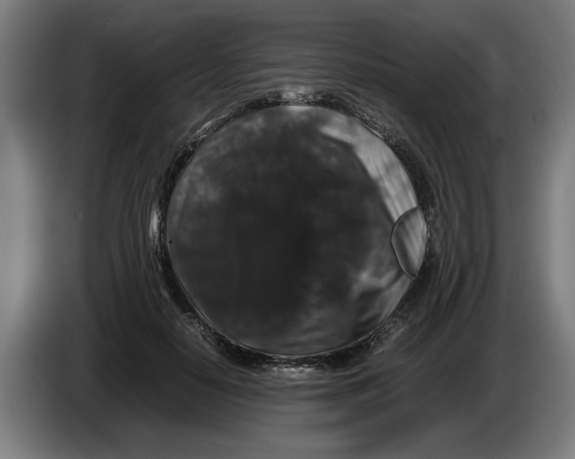 X0000086260650200704191904