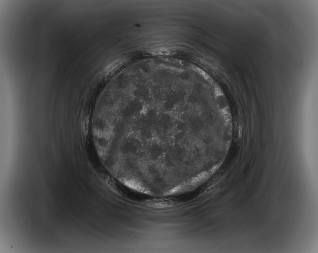 X0000086260652200704191904