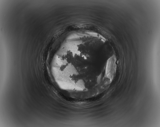X0000086260653200704191904