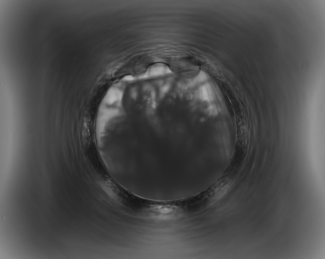 X0000086260654200704191905