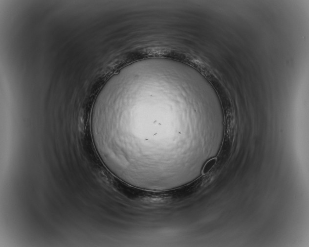 X0000086260655200704191905