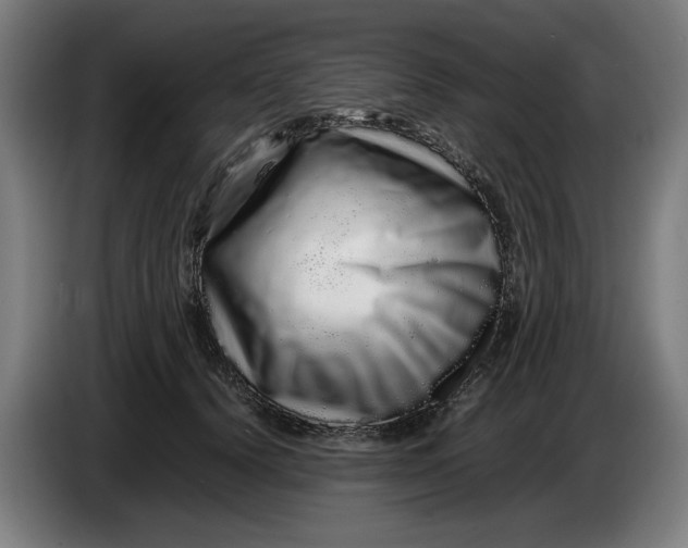 X0000086260656200704191905