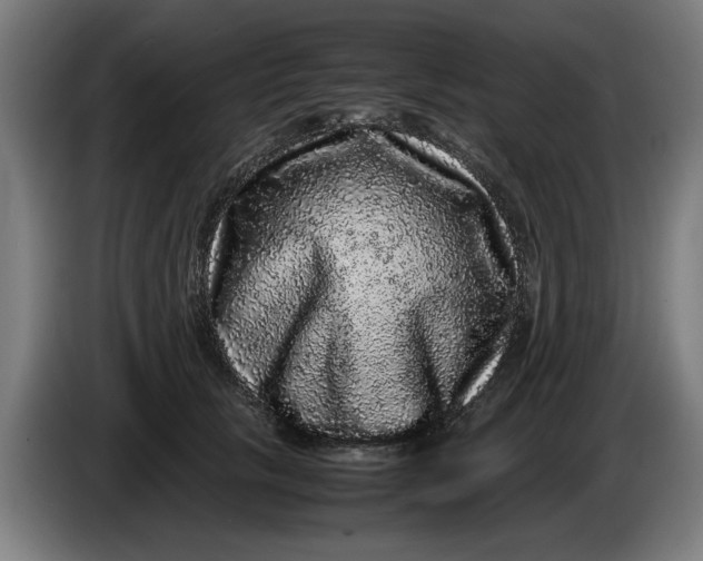 X0000086260657200704191905