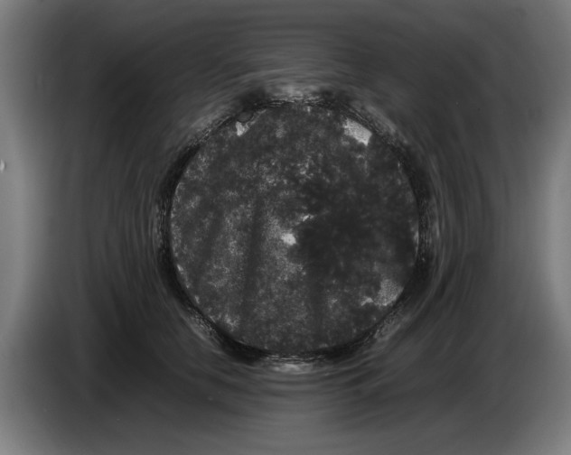 X0000086260658200704191905