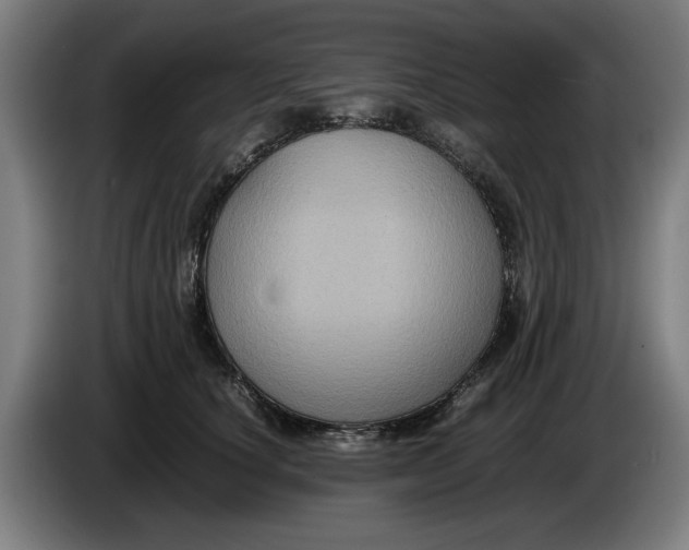 X0000086260660200704191905