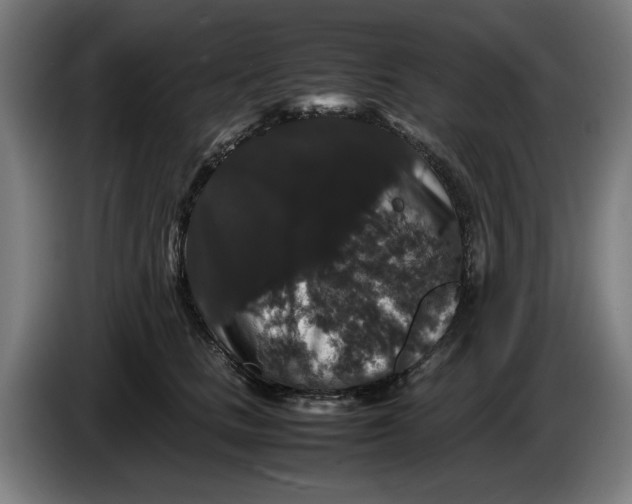 X0000086260661200704191905