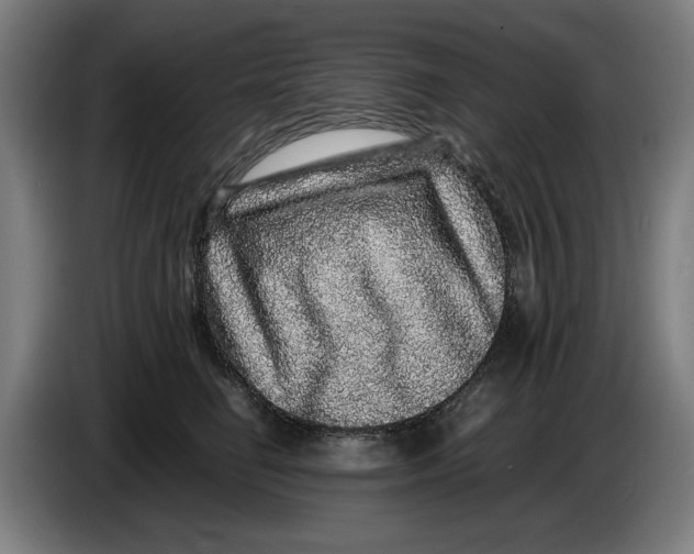 X0000086260662200704191905