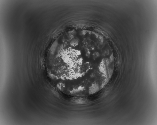 X0000086260663200704191905
