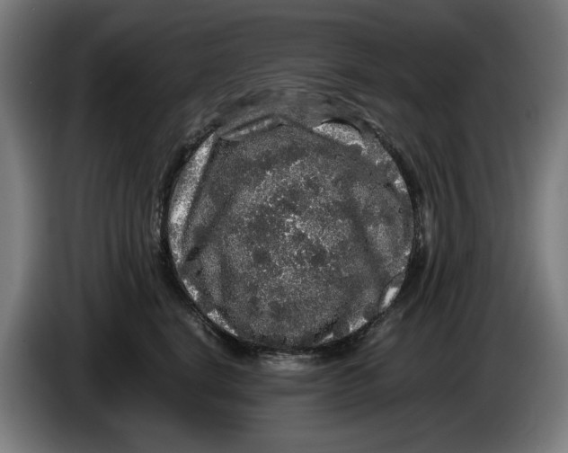 X0000086260664200704191905