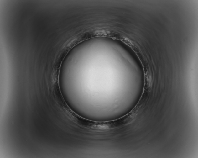 X0000086260665200704191905