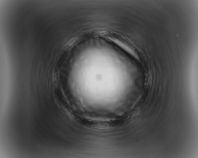 X0000086260666200704191905