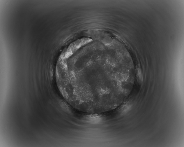 X0000086260668200704191905