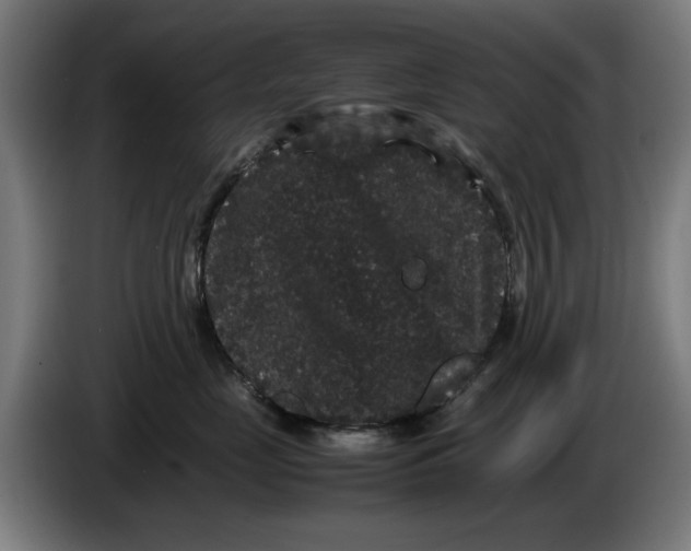 X0000086260669200704191905