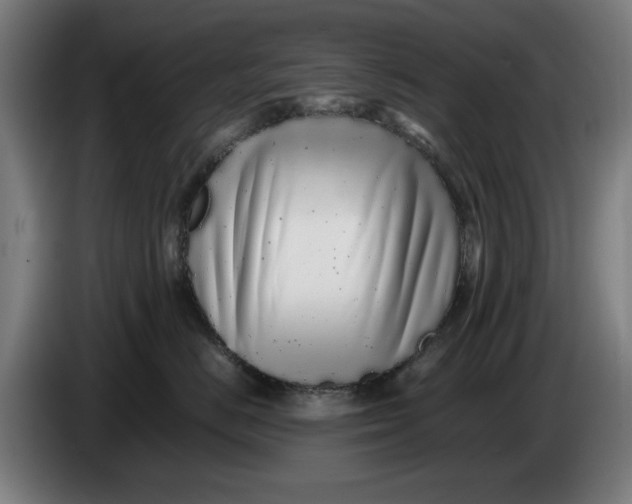 X0000086260670200704191905