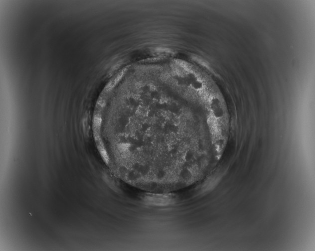 X0000086260671200704191905