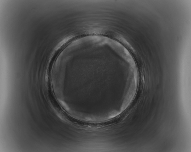 X0000086260674200704191904