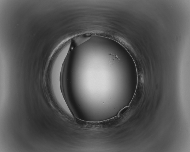 X0000086260676200704191904