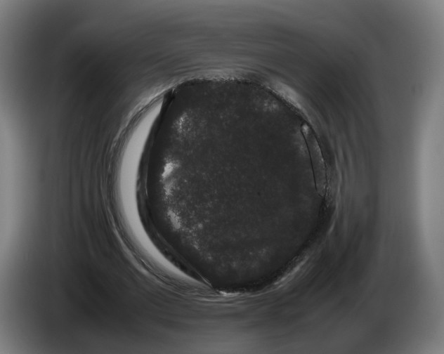 X0000086260677200704191904