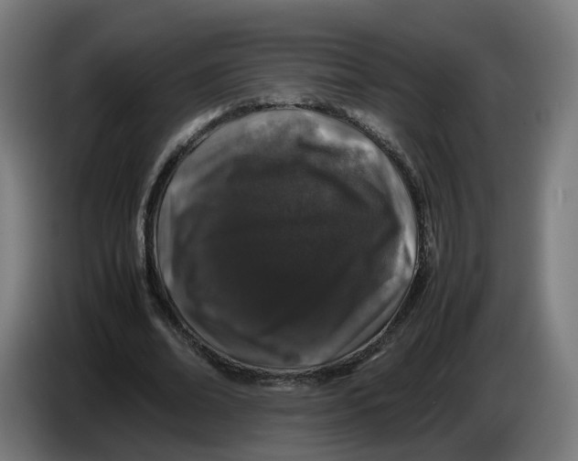 X0000086260678200704191904