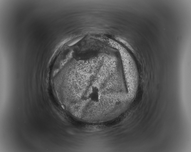 X0000086260679200704191904