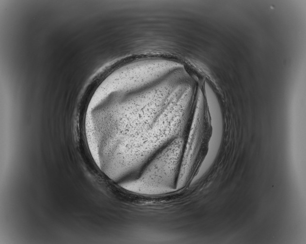 X0000086260680200704191904