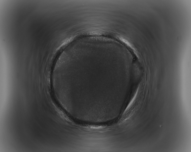 X0000086260681200704191904