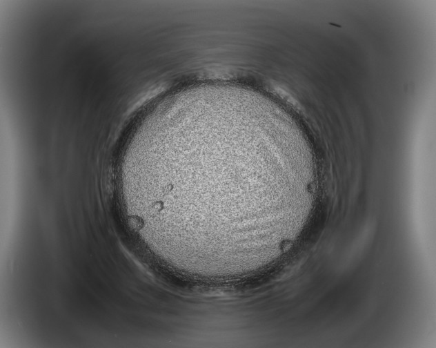 X0000086260683200704191904