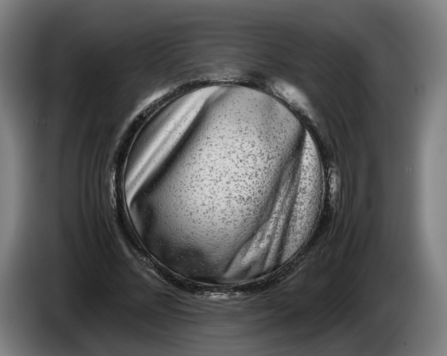 X0000086260684200704191904
