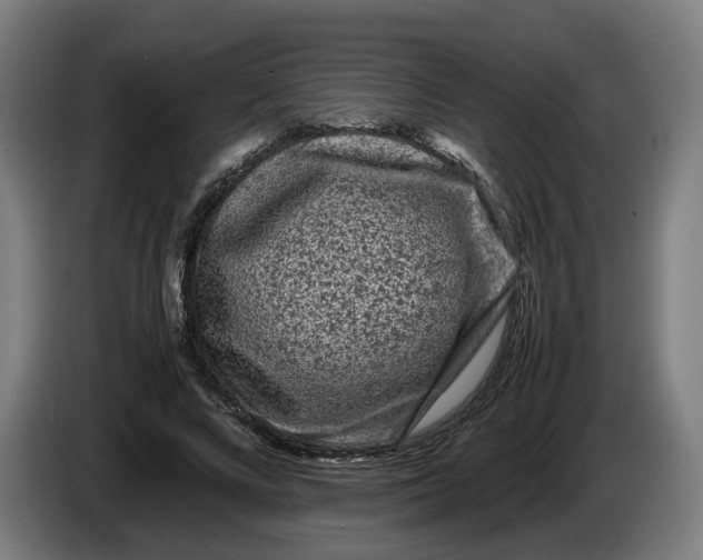 X0000086260688200704191904
