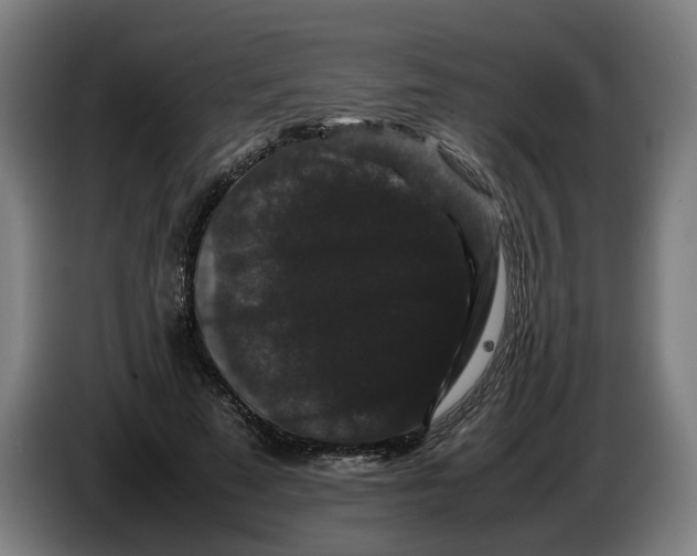 X0000086260689200704191904
